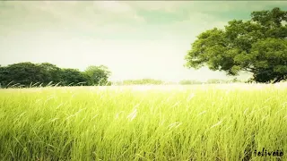 صلى عليك الله ياخير الورى تعداد حبات الرمآل وأكثرا دندنها