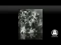 Jacaszek - To Violets