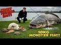 Download Lagu CRAZY BAIT Lands a 100KG MONSTER Fish!! (Unbelievable Catch)