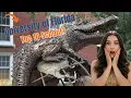 University of Florida Honest Review Cost Quality of Education Vibe