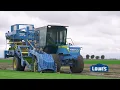 Harmony Sod at Your Local Lowe s