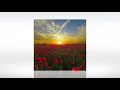 Track of the Day (19/07/2020) ~ Nora En Pure - Delta (Extended Mix)