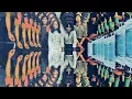 Download Lagu SHARK MOVE Indonesia - My Life (1973) [Lyrics/HQ]