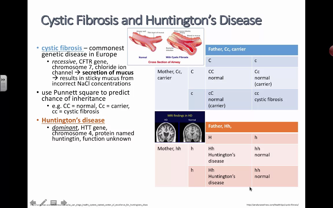 Cover image for Genetic Diseases: Cystic Fibrosis and Huntington's Disease
