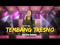 TEMBANG TRESNO - Safira Inema (Music Video Live)