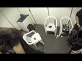 Rafael Yamada - Erro +55 | POV