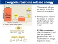 Chapter 7 - Microbial Metabolism