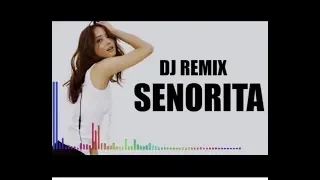 Download DJ SENORITA REMIX •FULL BASS MANTUL•ORIGINAL MUSIC 2019 MP3