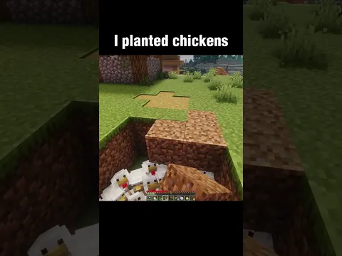chicken plant in minecraft #minecraft