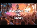 Download Lagu Dragostea Din Tei ( Remix) - Numa Numa Yei ♫ Viral TikTok Song ♫