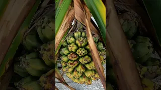 Is this our honeymoon spot? #dronephotography #love #wow #beach