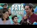 Download Lagu COLECCIÓN I  PATA DE PERRO