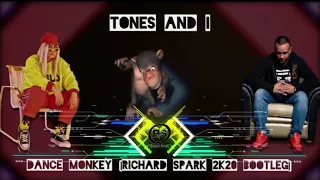 TONES AND I - DANCE MONKEY (RICHARD SPARK 2K20 BOOTLEG)