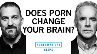 The Truth About Pornography | Dr. Jordan Peterson & Dr. Andrew Huberman