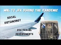 traveling from MNL to NY in the pandemic with my dog DOG TRAVEL REQUIREMENTS
