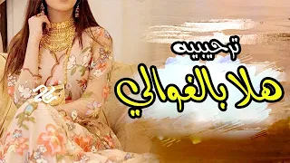 شيلة ترحيبيه هلا بالغوالي عند من نارهم حي هم كلمات ابو لؤي أداء ابو حسام  شيلة ترحيبيه هلا بالغوالي عند من نارهم حي هم كلمات ابو لؤي أداء ابو حسام