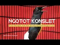 Download Lagu Murai Batu Ngotot Konslet Murai Manapun Pasti Ikut Tersulut Emosi Dan Bongkar Isian Mewah