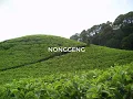 Download Lagu Lagu Sunda Doel Sumbang Nonggeng