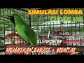 Download Lagu Simulasi lomba cucak Ijo AMPUH digunakan menaikan EMOSI dan MENTAL Burung