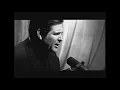 Download Lagu Brian Wilson ~ 'Til I Die