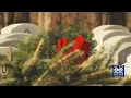 Sponsors needed for wreaths at Massachusetts Veterans Memorial Cemetery in Agawam