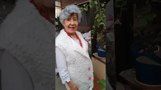                    دندنها