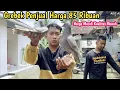 Lagu GREBEK‼️ PENJUAL MERPATI HARGA 85 RIBUAN