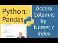 How to Access Columns by Numeric Index in Pandas Python