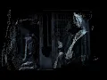 páramo - Mujer Cebra
