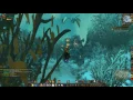 A Strange Device Quest ID 12059 Playthrough Dragonblight