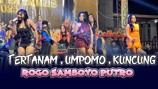 tertanam lagu djandut jaranan terbaru rogo samboyo putro