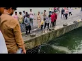Download Lagu Fishing impossible to morshi Dam - best fishing rod price in india