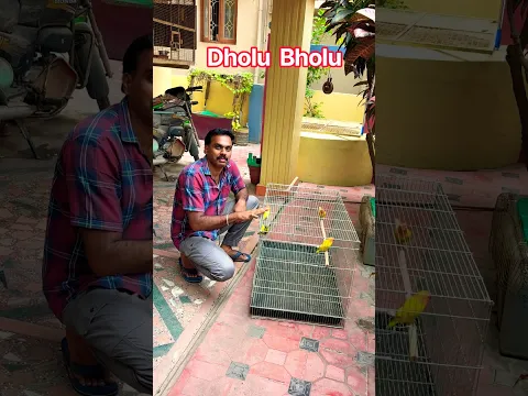 Dholu Bholu DNA 🧬 result shocked me 🥲🥲