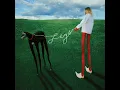 Legs - Annie DiRusso