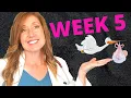 What are 5 week pregnancy symptoms PLUS you baby development and your first OB appointment