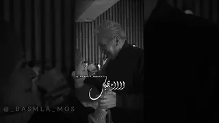 حابه احبك حزن فيديوهات استوري حالات واتس حب مشاهير فانز 