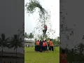 Download Lagu Jaran Kalap Gak Mau Turun Dari Pohon Bambu, GAYATRI ROJOKOYO