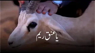 ياعنق ريم فريد وحوش دندنها