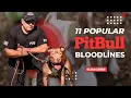 11 popular Pitbull Bloodlines