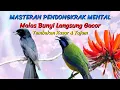 Lagu MASTERAN CUCAK CUNGKOK VS SRI GUNTING ABU FULL TEMBAKAN PEDAS BERJEDA PALING BANYAK DI CARI