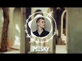 Lost Frequencies Ft. Declan J Donovan - Just Wanna Know (Mesky Remix)