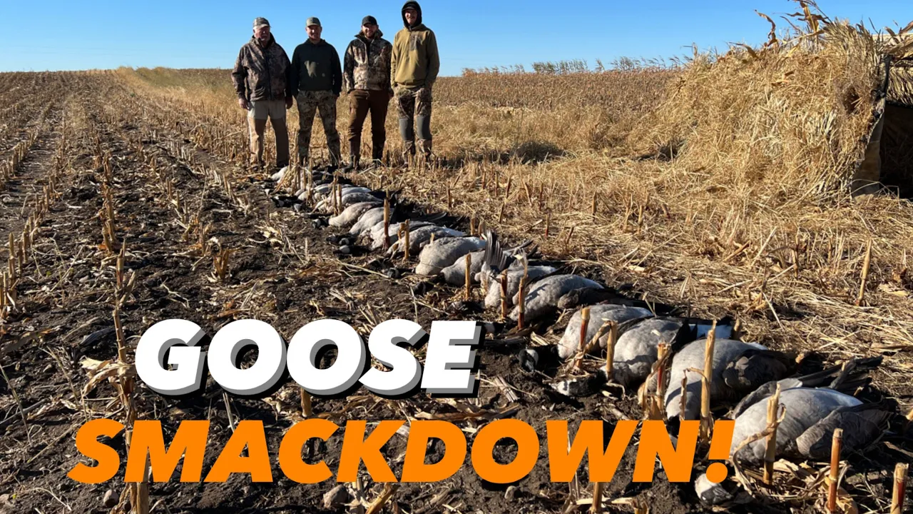 GOOSE SMACKDOWN! North Dakota Honker Hunt.