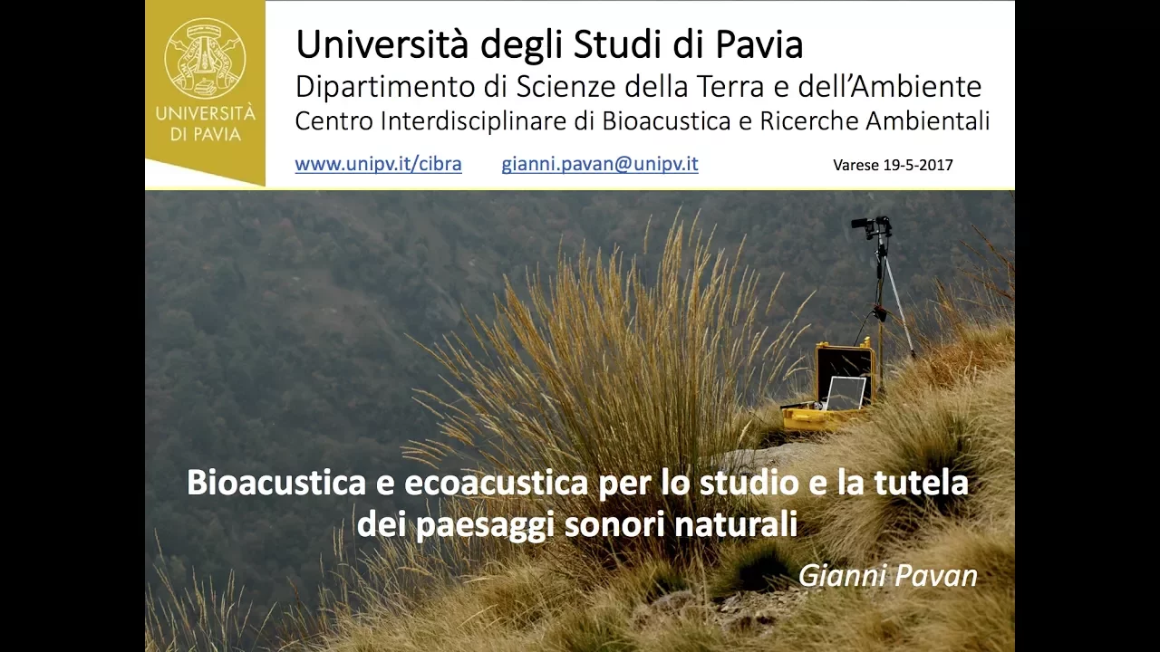 Dalla bioacustica all'ecologia acustica per studiare i paesaggi sonori naturali