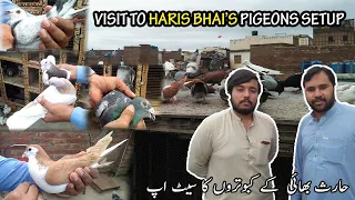 visit to haris bhai pigeons setup and kabootar bazi