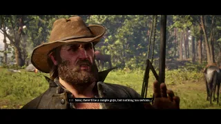 red dead redemption 2 companion activity 9 coach robbery bill