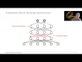Relaxed Quantization for Discretized Neural Networks Prof Efstratios Gavves