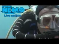 Buscando a Nemo Live action parte 4
