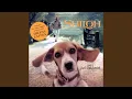 Download Lagu Dog Fight