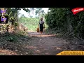 Download Lagu \