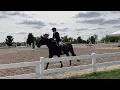 Granit at the National Equestrian Center